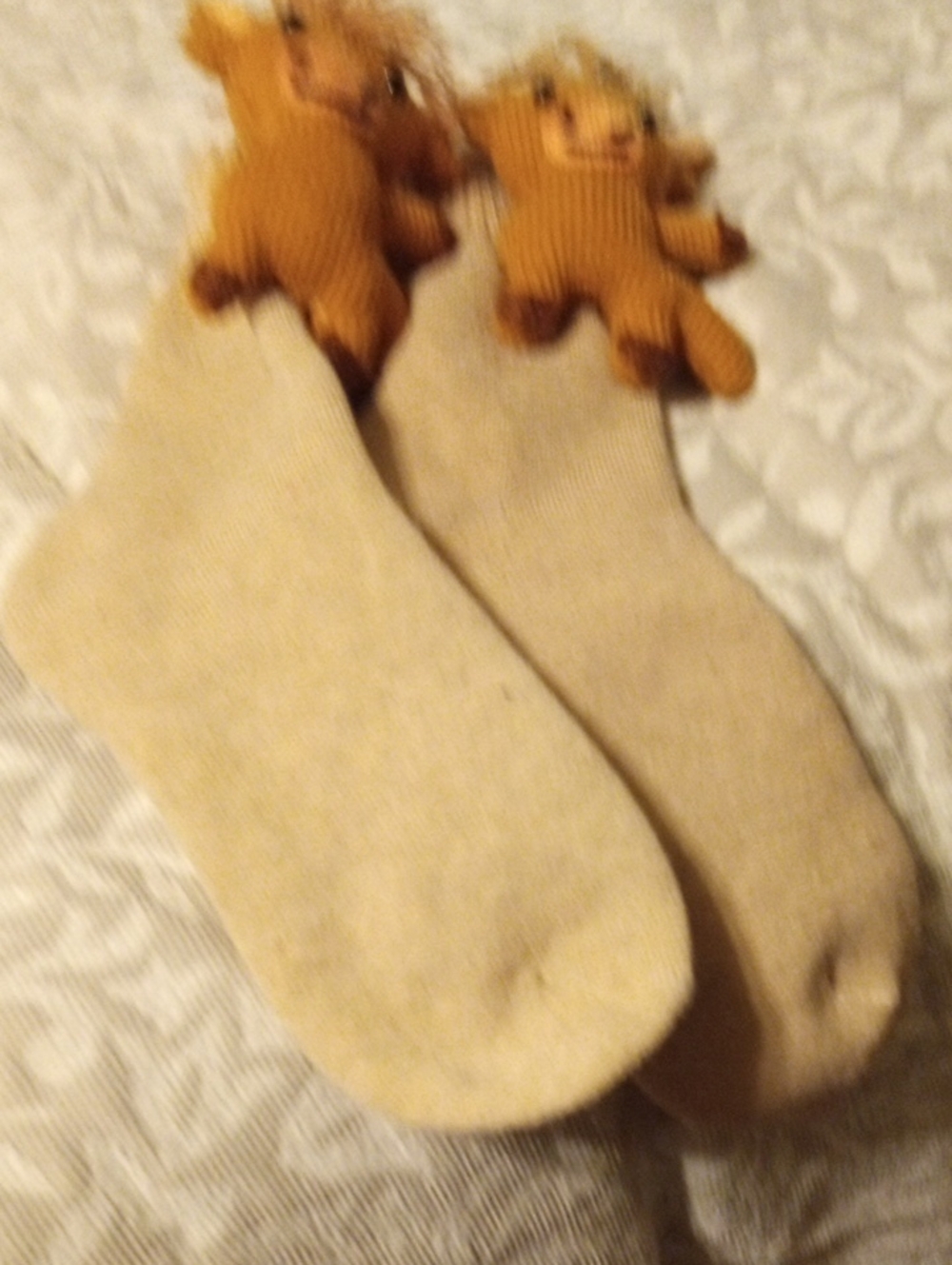 Cute Beige Socks with Teddy Accents